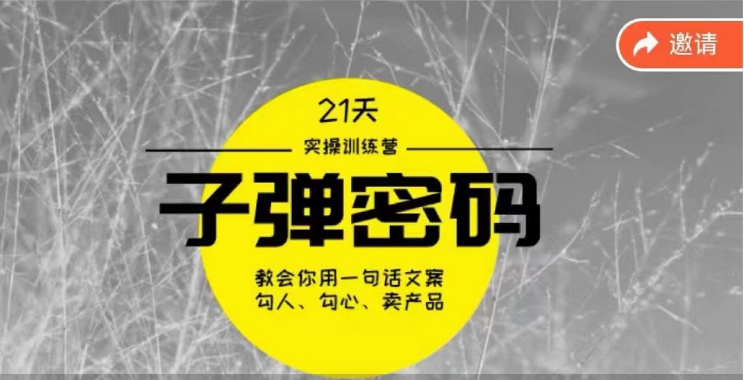 《子弹密码训练营》用一句话文案勾人勾心卖产品，21天学到顶尖文案大师策略和技巧-启航资源站