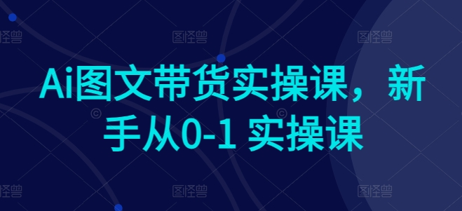 Ai图文带货实操课，新手从0-1 实操课-启航资源站