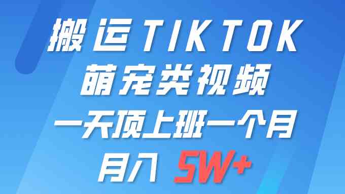 （9931期）一键搬运TIKTOK萌宠类视频 一部手机即可操作 所有平台均可发布 轻松月入5W+-启航188资源站