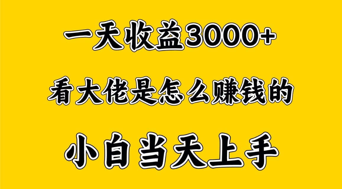 一天赚3000多，大佬是这样赚到钱的，小白当天上手，穷人翻身项目-启航资源站