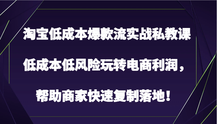 淘宝低成本爆款流实战私教课，低成本低风险玩转电商利润，帮助商家快速复制落地！-启航资源站