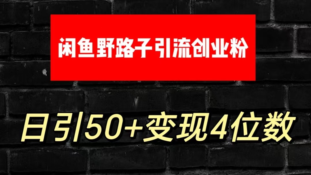 大眼闲鱼野路子引流创业粉，日引50+单日变现四位数-启航188资源站