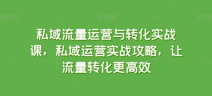 私域流量运营与转化实战课，私域运营实战攻略，让流量转化更高效-启航188资源站