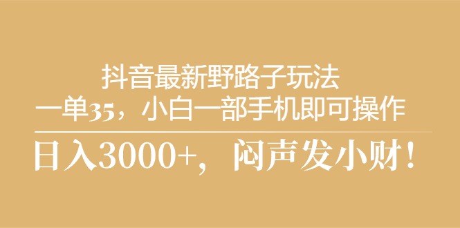 （10766期）抖音最新野路子玩法，一单35，小白一部手机即可操作，，日入3000+，闷…-启航资源站