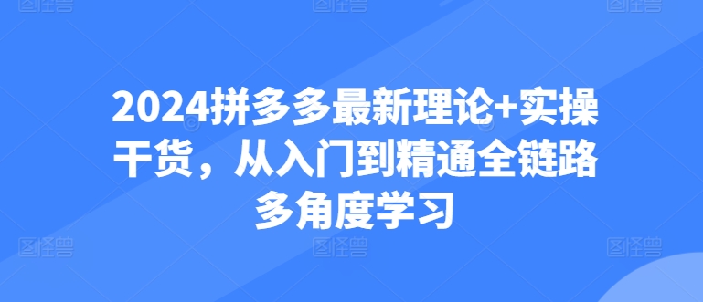 2024拼多多最新理论+实操干货，从入门到精通全链路多角度学习-启航资源站