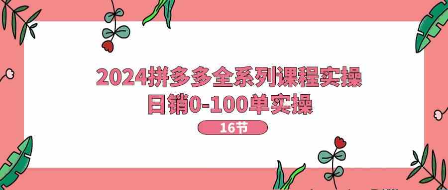 2024拼多多全系列课程实操，日销0-100单实操【16节课】-启航资源站