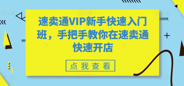 速卖通VIP新手快速入门班，手把手教你在速卖通快速开店-启航资源站