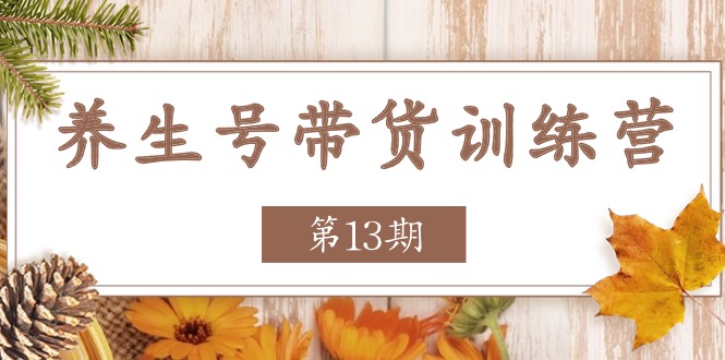 养生号带货训练营【第13期】收益更稳定的玩法，让你带货收益爆炸-启航资源站