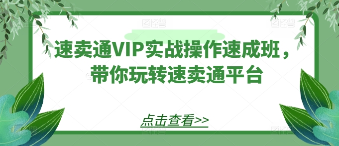 速卖通VIP实战操作速成班，带你玩转速卖通平台-启航资源站