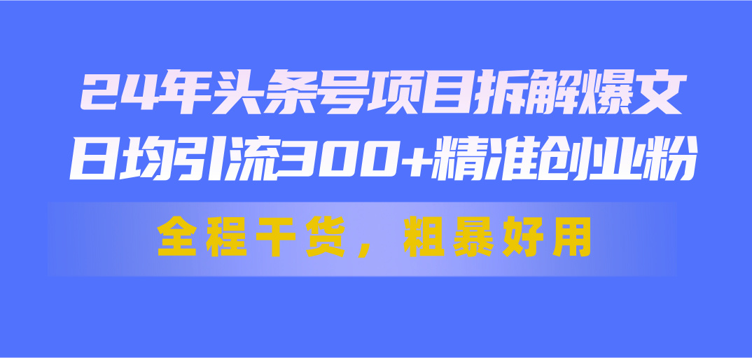 24年头条号项目拆解爆文，日均引流300+精准创业粉，全程干货，粗暴好用-启航资源站