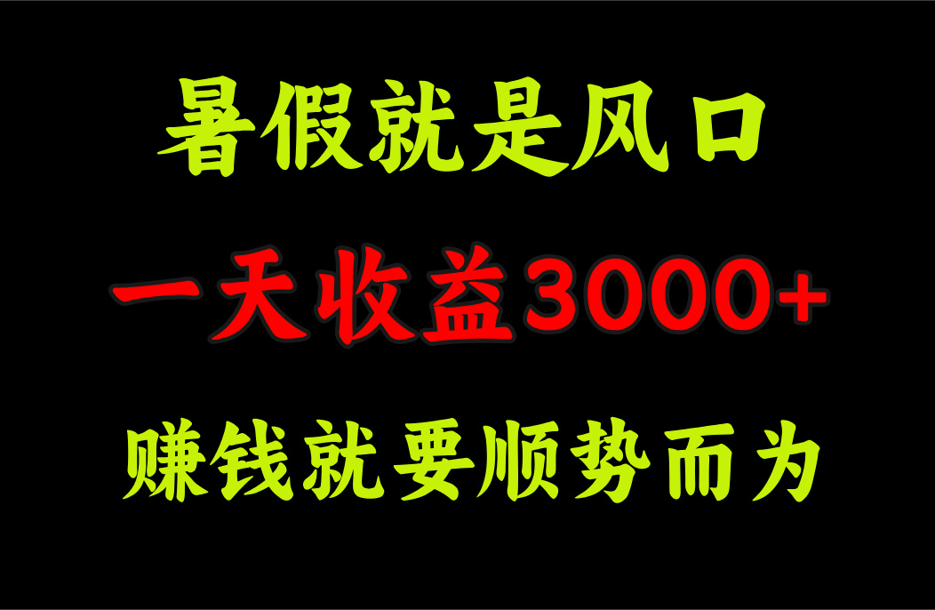 一天收益3000+ 赚钱就是顺势而为，暑假就是风口-启航资源站