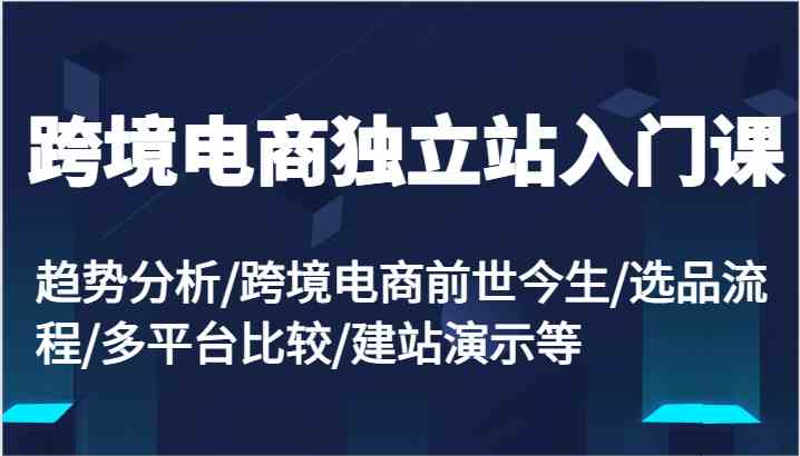 跨境电商独立站入门课：趋势分析/跨境电商前世今生/选品流程/多平台比较/建站演示等-启航资源站