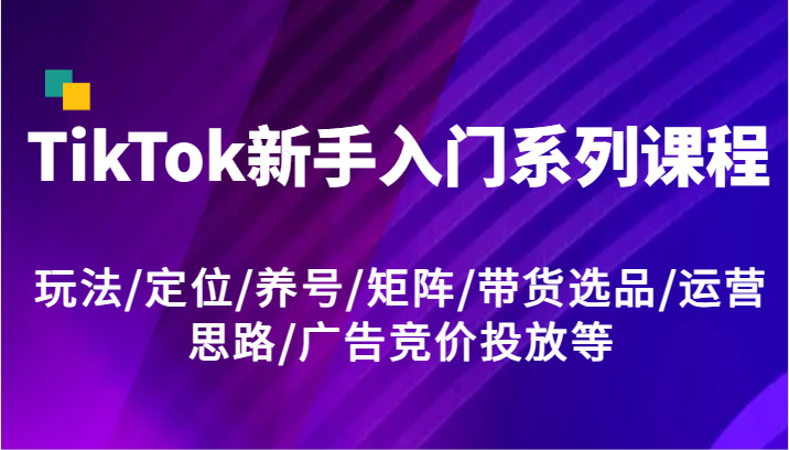 TikTok新手入门系列课程，玩法/定位/养号/矩阵/带货选品/运营思路/广告竞价投放等-启航资源站