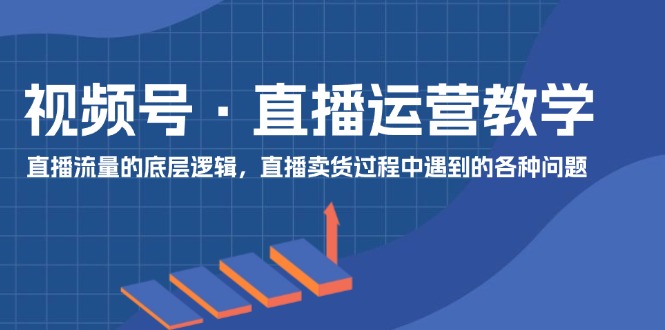 （11687期）视频号 直播运营教学：直播流量的底层逻辑，直播卖货过程中遇到的各种问题-启航资源站