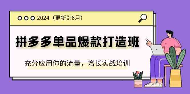 2024拼多多单品爆款打造班，充分应用你的流量，增长实战培训(更新6月)-启航资源站