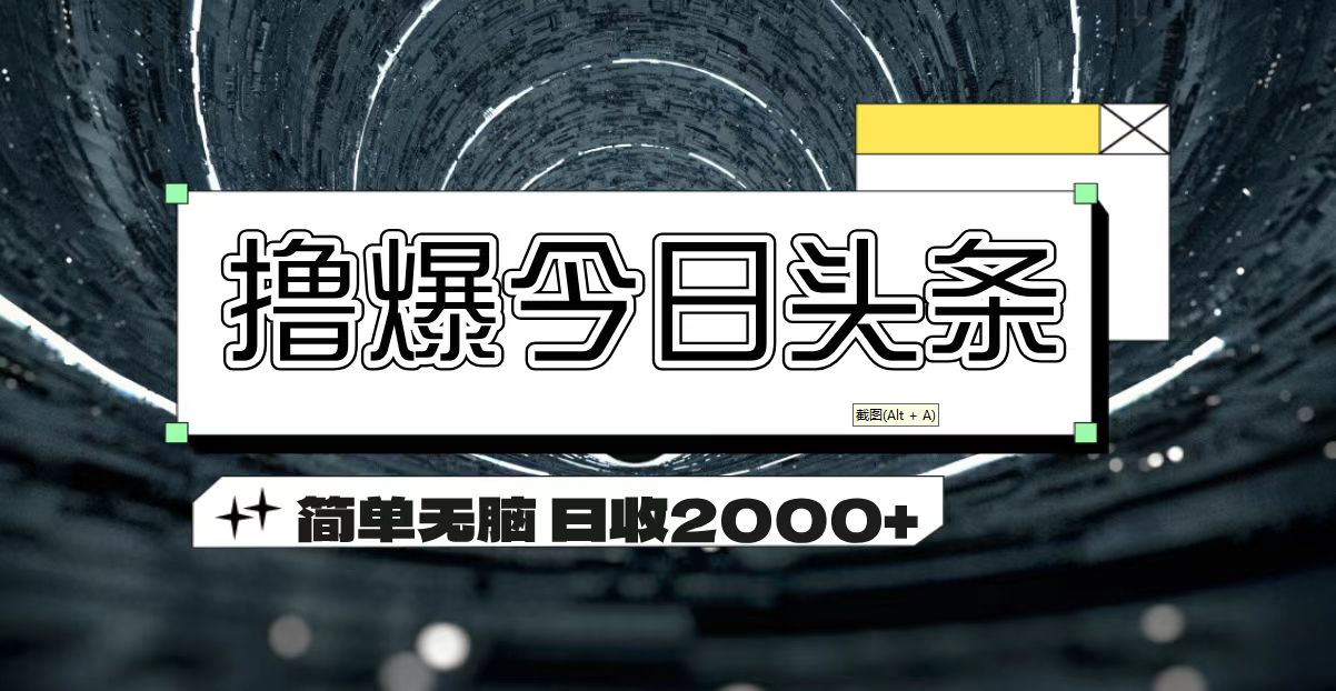 （11665期）撸爆今日头条 简单无脑操作 日收2000+-启航资源站