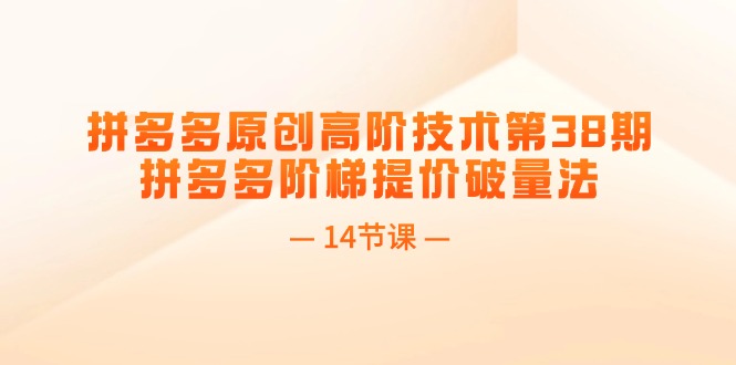 （11704期）拼多多原创高阶技术第38期，拼多多阶梯提价破量法（14节课）-启航资源站