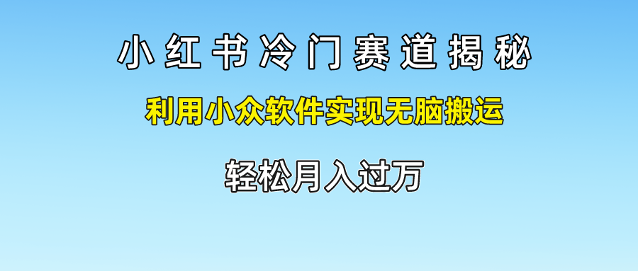 小红书冷门赛道揭秘,利用小众软件实现无脑搬运，轻松月入过万-启航资源站