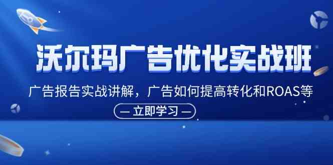 沃尔玛广告优化实战班，广告报告实战讲解，广告如何提高转化和ROAS等-启航资源站