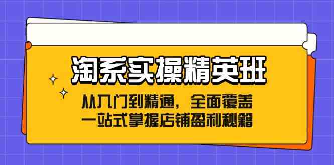 淘系实操精英班：从入门到精通，全面覆盖，一站式掌握店铺盈利秘籍-启航资源站