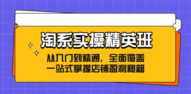 （12276期）淘系实操精英班：从入门到精通，全面覆盖，一站式掌握店铺盈利秘籍-启航资源站