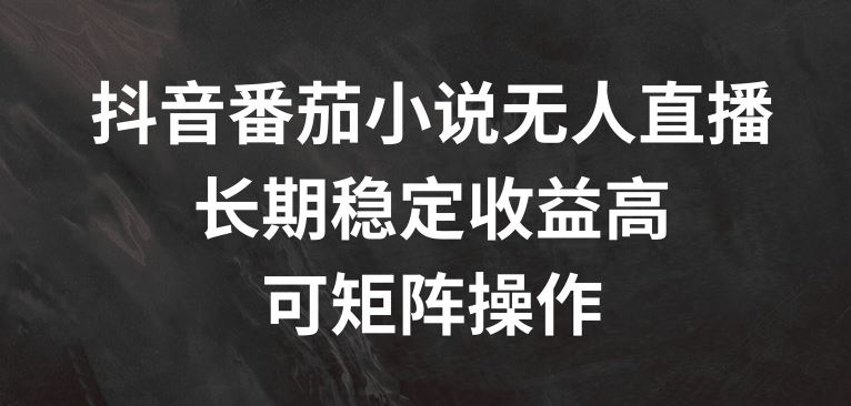 抖音番茄小说无人直播，长期稳定收益高，可矩阵操作【揭秘】-启航资源站