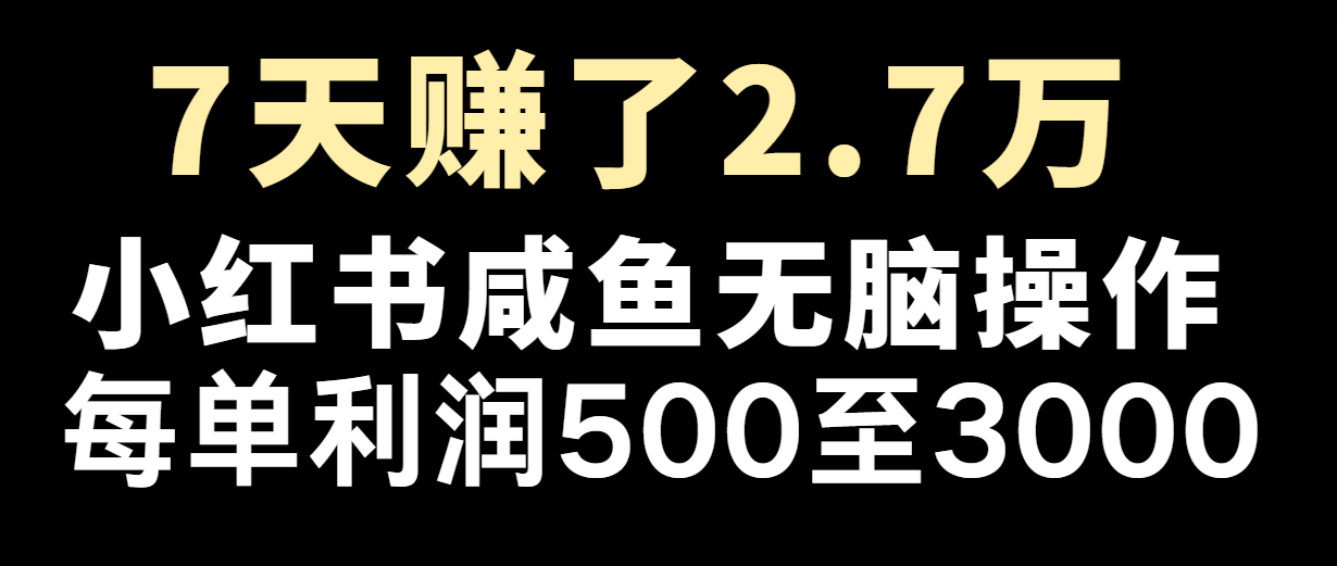 七天赚了2.7万！每单利润最少500+，轻松月入5万+小白有手就行-启航资源站