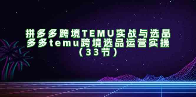 拼多多跨境TEMU实战与选品，多多temu跨境选品运营实操（33节）-启航资源站