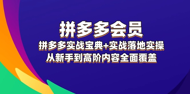 （12056期）拼多多 会员，拼多多实战宝典+实战落地实操，从新手到高阶内容全面覆盖-启航资源站