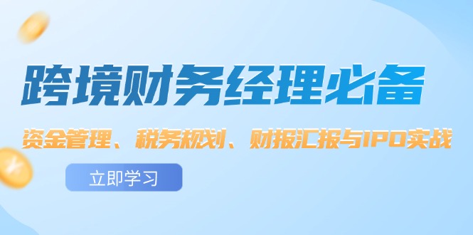 （12323期）跨境 财务经理必备：资金管理、税务规划、财报汇报与IPO实战-启航资源站