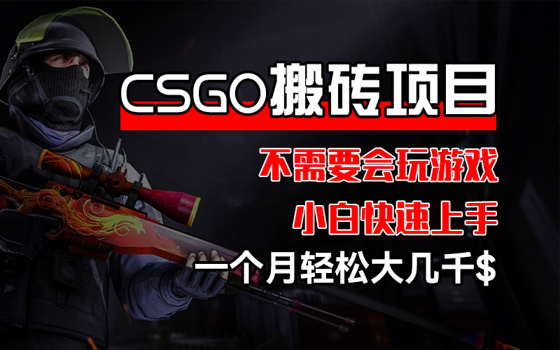 （12332期）CSGO 装备搬砖项目，操作简单，不需要会玩游戏，小白也能快速上手，一…-启航资源站