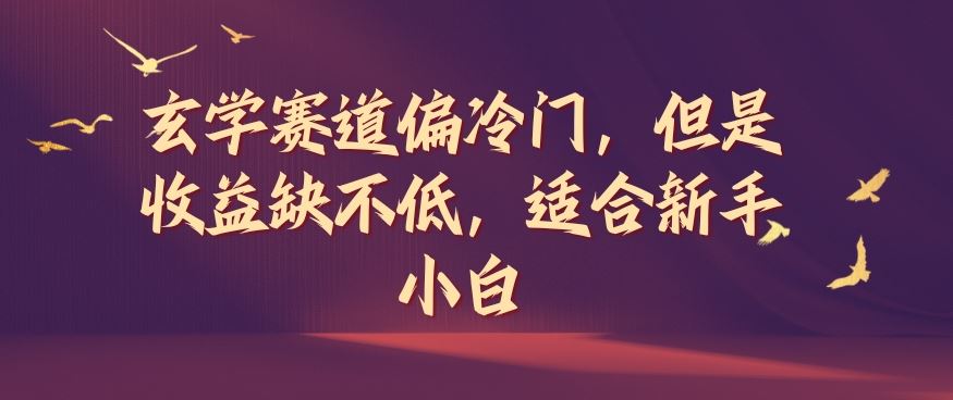 玄学赛道偏冷门，但是收益缺不低，适合新手小白【揭秘】-启航资源站