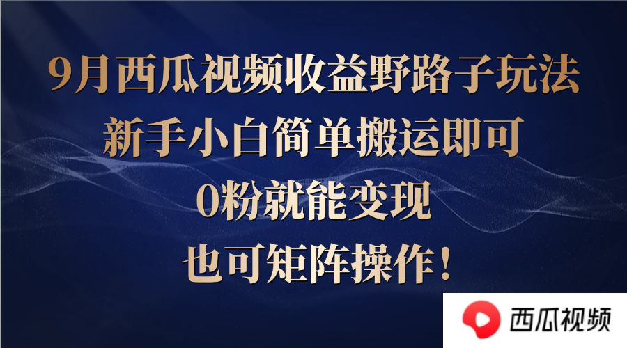 西瓜视频收益野路子玩法，新手小白简单搬运即可，0粉就能变现，也可矩…-启航资源站