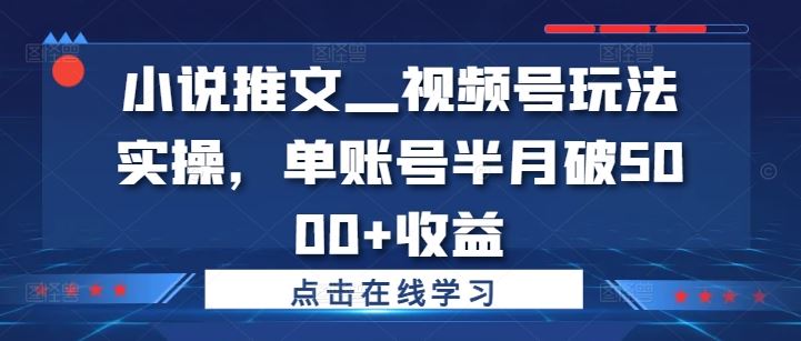 小说推文—视频号玩法实操，单账号半月破5000+收益-启航资源站