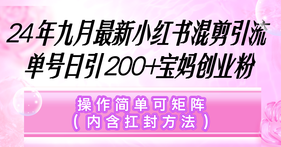 （12530期）小红书混剪引流，单号日引200+宝妈创业粉，操作简单可矩阵（内含扛封…-启航资源站