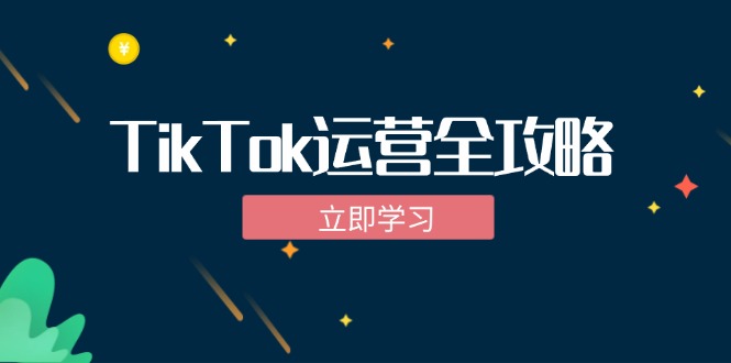 TikTok实战运营全攻略：从下载软件到变现，抖音海外版实操教程-启航资源站