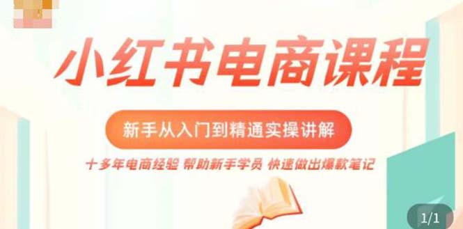 小红书电商新手入门到精通实操课，从入门到精通做爆款笔记，开店运营-启航资源站