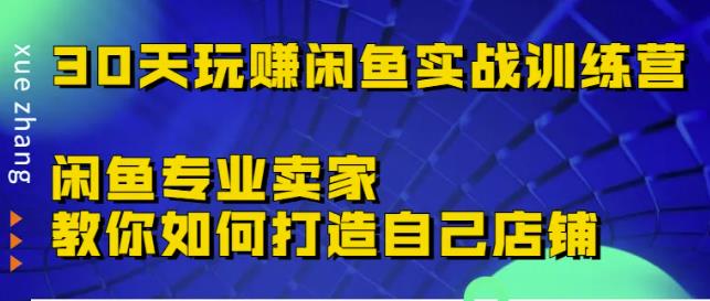 30天玩赚闲鱼实战训练营，闲鱼专业卖家教你如何打造自己店铺￼-启航资源站