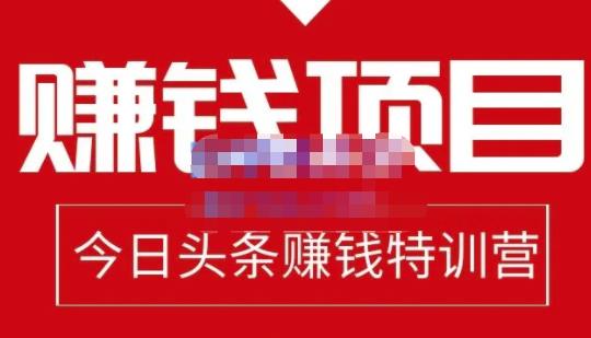 懒人领域·今日头条项目玩法，头条中视频项目，单号收益在50—500可批量￼-启航资源站