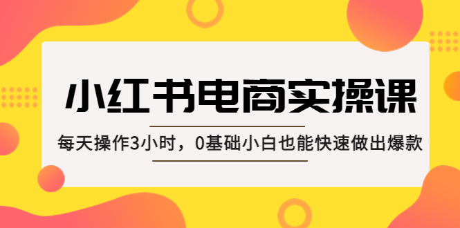 小红书·电商实操课：每天操作3小时，0基础小白也能快速做出爆款！-启航资源站