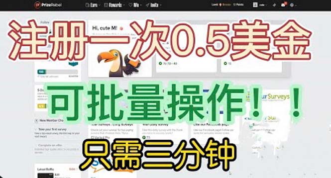 国外项目注册一次0.5美金 只需三分钟无脑操作 可批量放大 小白工作室福利-启航资源站