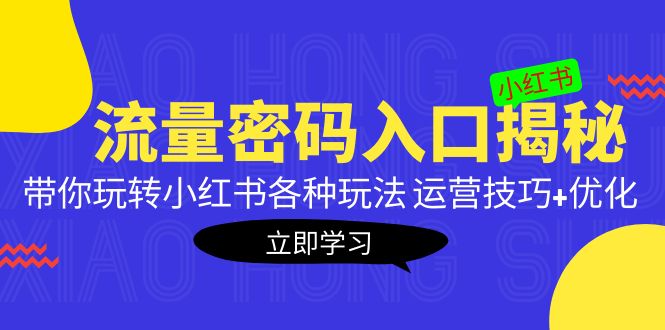 小红书流量密码入口揭秘：带你玩转小红书各种玩法 运营技巧+优化！-启航资源站