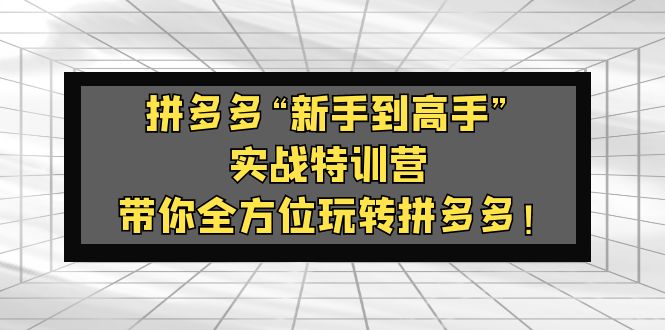 拼多多“新手到高手”实战特训营：带你全方位玩转拼多多！-启航资源站