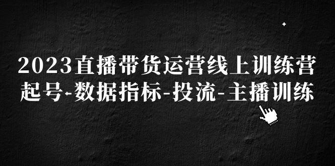 2023直播带货运营线上训练营，起号-数据指标-投流-主播训练-启航资源站