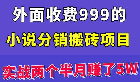 外面收费999的小说分销搬砖项目：实战两个半月赚了5W块，操作简单！￼-启航资源站