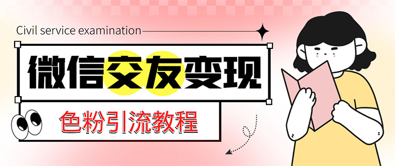 微信交友变现项目，吸引全网LSP男粉精准变现，小白也能轻松上手，日入500+-启航资源站