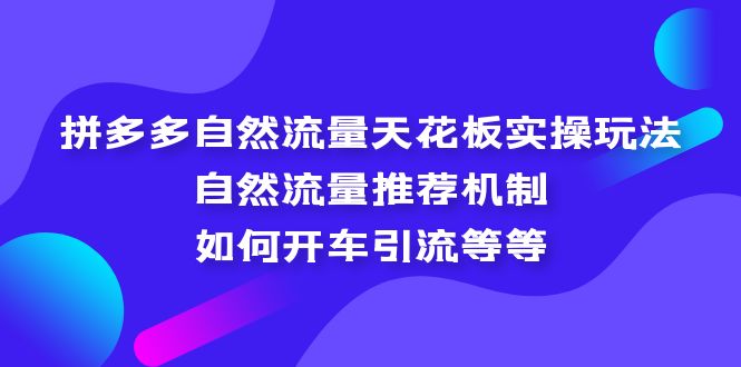 拼多多自然流量天花板实操玩法：自然流量推荐机制，如何开车引流等等-启航资源站