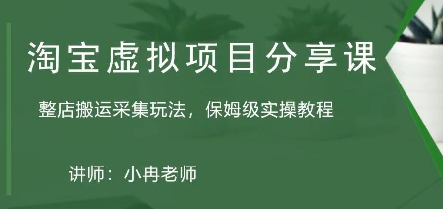 淘宝虚拟整店搬运采集玩法分享课：整店搬运采集玩法，保姆级实操教程-启航资源站