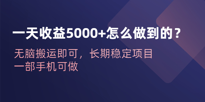 一天收益5000+怎么做到的？无脑搬运即可，长期稳定项目，一部手机可做-启航资源站