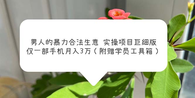 男人的暴力合法生意实操项目巨细版：仅一部手机月入3w（附赠学员工具箱）-启航资源站